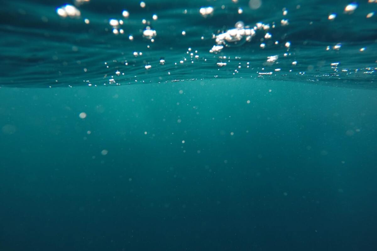 The Journey of Bioluminescent Bays: Nature's Glowing Wonders